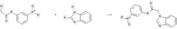 Acetamide,2-chloro-N-(3-nitrophenyl)-(13) can be used to produce 2-benzoimidazol-1-yl-N-(3-nitro-phenyl)-acetamide